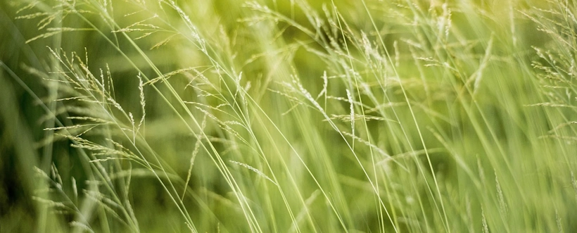 Beneficios Ambientales de Implementar ISO 14001