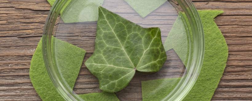 Politica ambiental norma ISO 14001