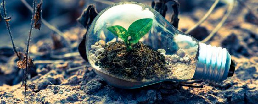 Evaluación de riesgos ambientales