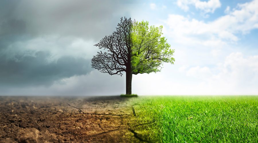 ISOTools - Cancelada Enmienda ISO 14001