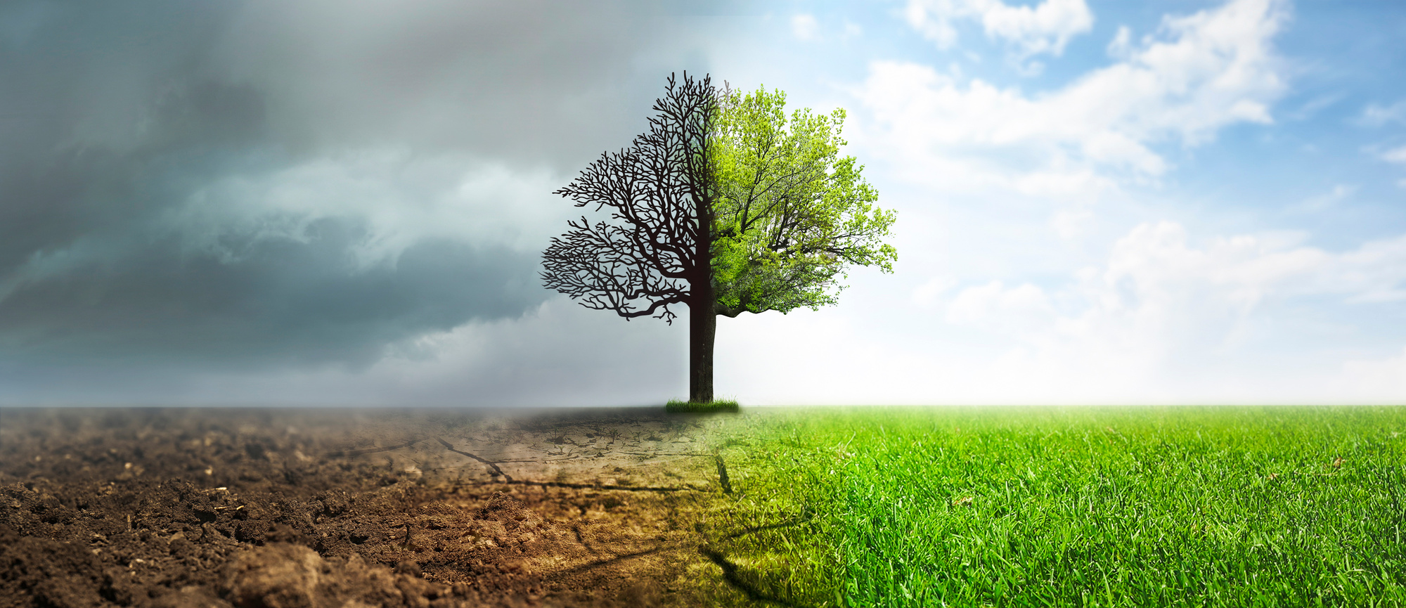 ISOTools - Cancelada Enmienda ISO 14001