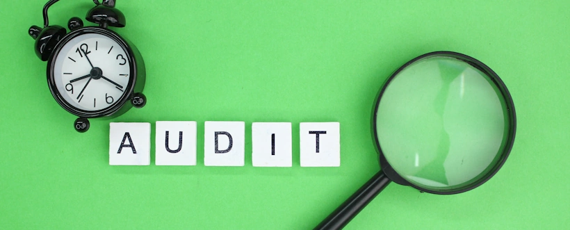 Auditorías internas